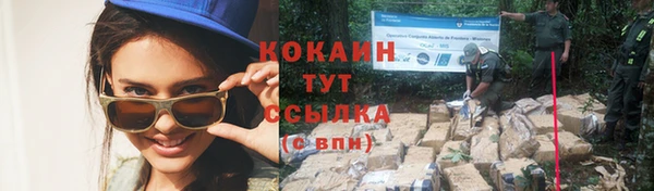 стаф Нефтекумск