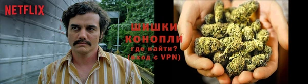 бошки Нея