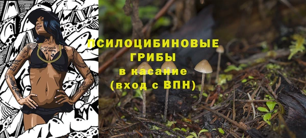 стаф Нефтекумск