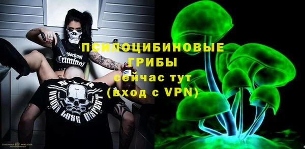 бошки Нея