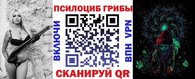 shop какой сайт Змеиногорск Галлюциногенные грибы Magic Shrooms